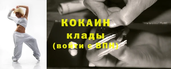 шишки Балахна