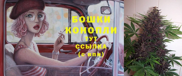 шишки Балахна