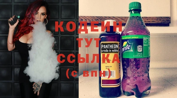 шишки Балахна