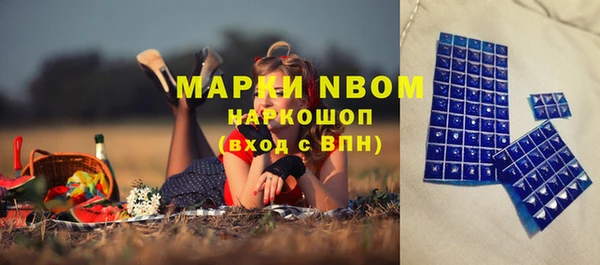 шишки Балахна