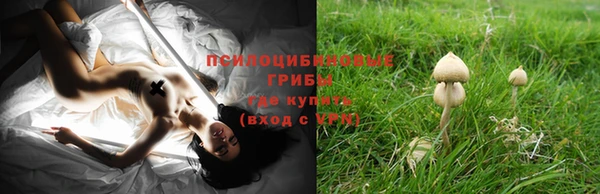 Альфа ПВП Балабаново