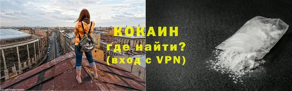 шишки Балахна
