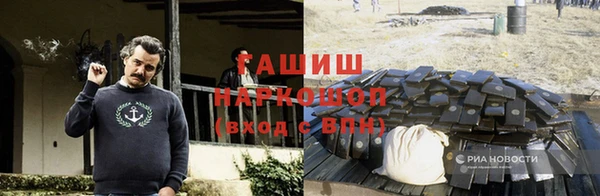 шишки Балахна