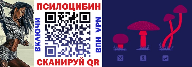 Псилоцибиновые грибы Psilocybine cubensis  MEGA tor  Новопавловск 